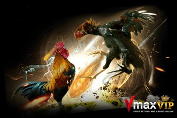 vmaxvip.com banner ชนไก่ออนไลน์